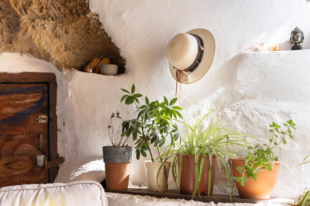 Casa Cueva Gaspara Arico Exteriör bild