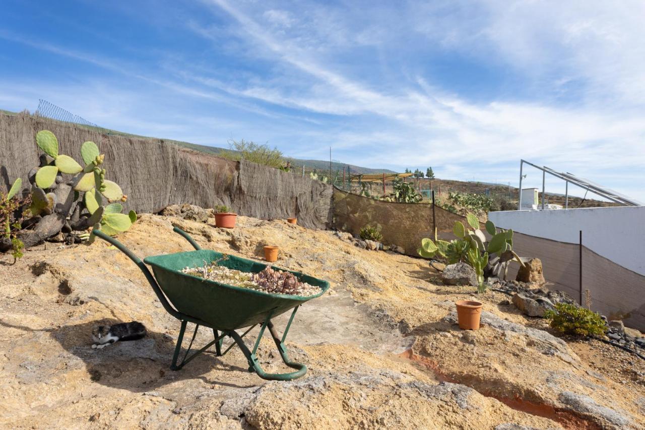 Casa Cueva Gaspara Arico Exteriör bild